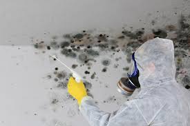 Mold Remediation for Rental Properties in Onset, MA